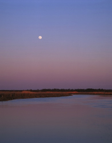 Moonrise, Jakes Landing, Cape May County, NJ (MF).jpg